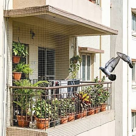 Pigeon Net for Balcony in Raj Nagar Extension